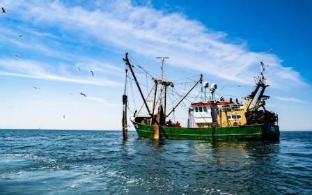 The Harsh Existence of Impoverished Fishermen
