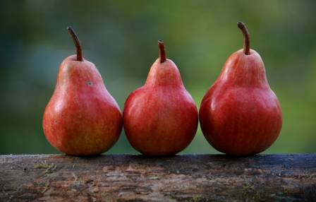 9 Powerful Health Benefits of Eating Pears