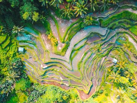 Top 7 Most Beautiful Terraced Fields in the World