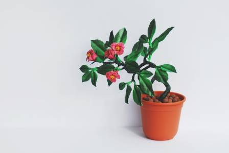 The Art of Paper Folding: A Guide to Creating Handmade Origami Flowers