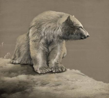 Polar bear paintings