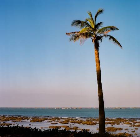 Coastal Guardians