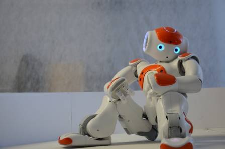 The Top Five Humanoid Robots