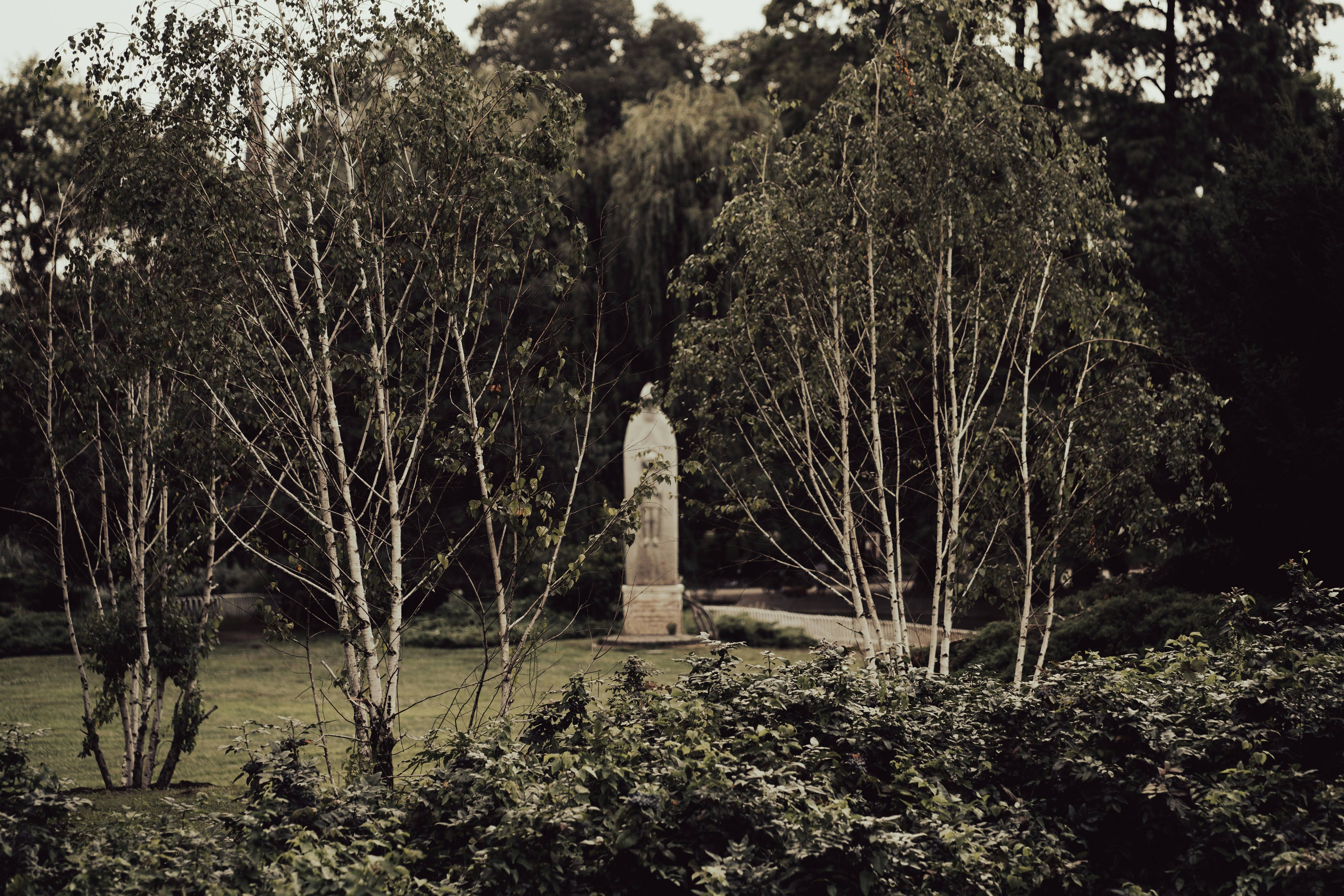 A black and white photo of trees and a monument