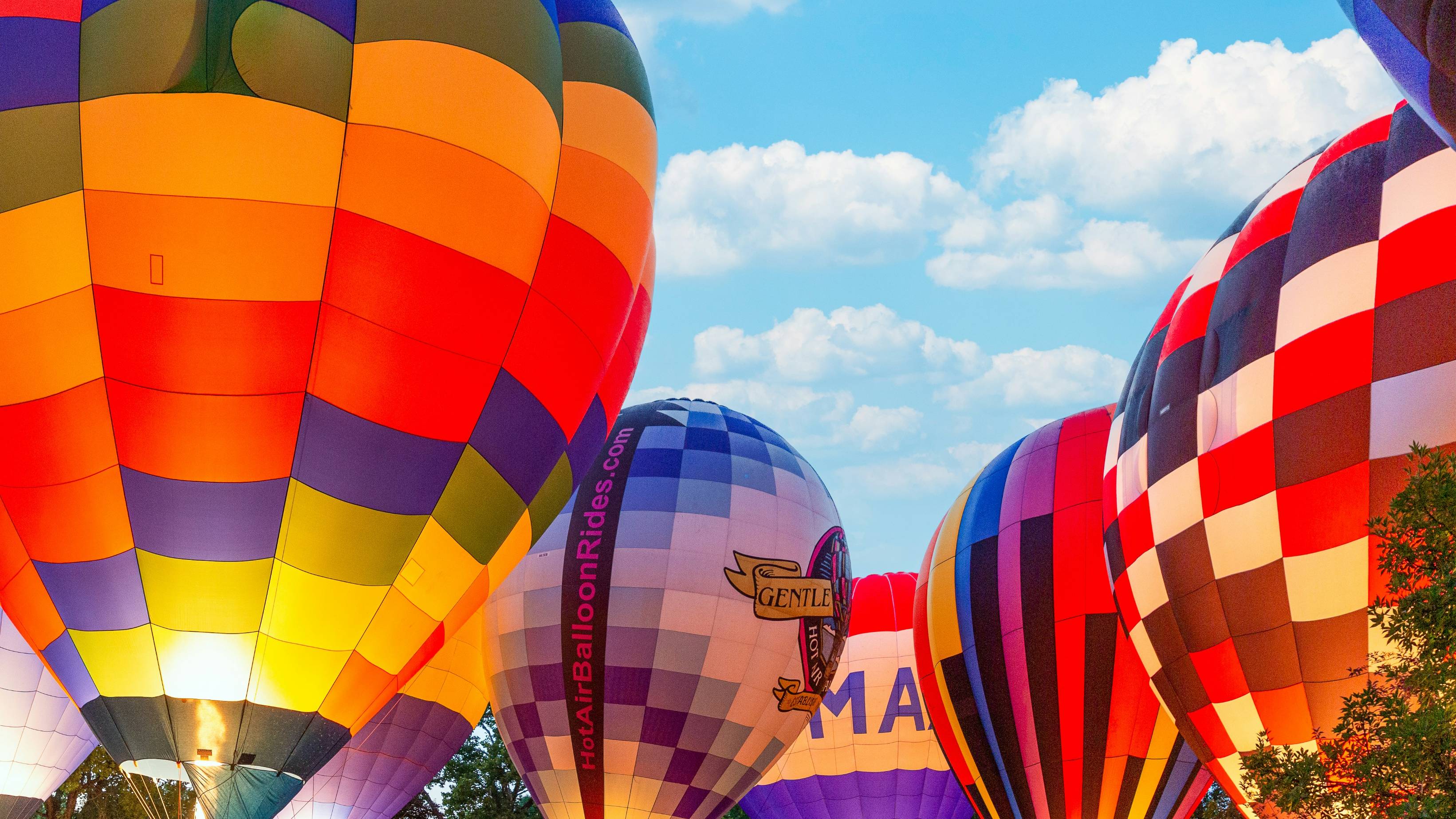 a group of hot air balloons