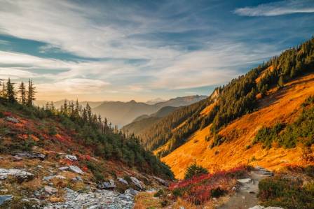 Painting an Autumn Landscape: Capturing New Zealand’s Arrowtown in Oil